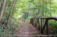 sorgente-di-buceto-05